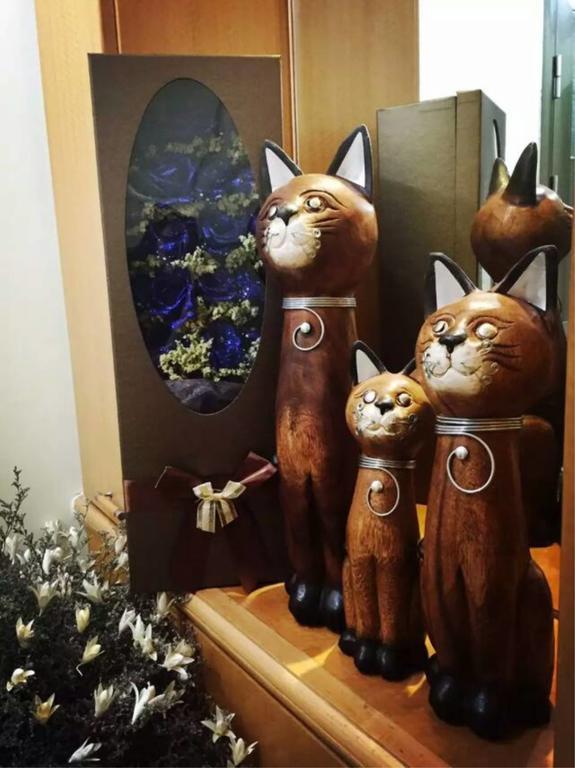Kunming Cat Nest Female Youth Hostel Экстерьер фото