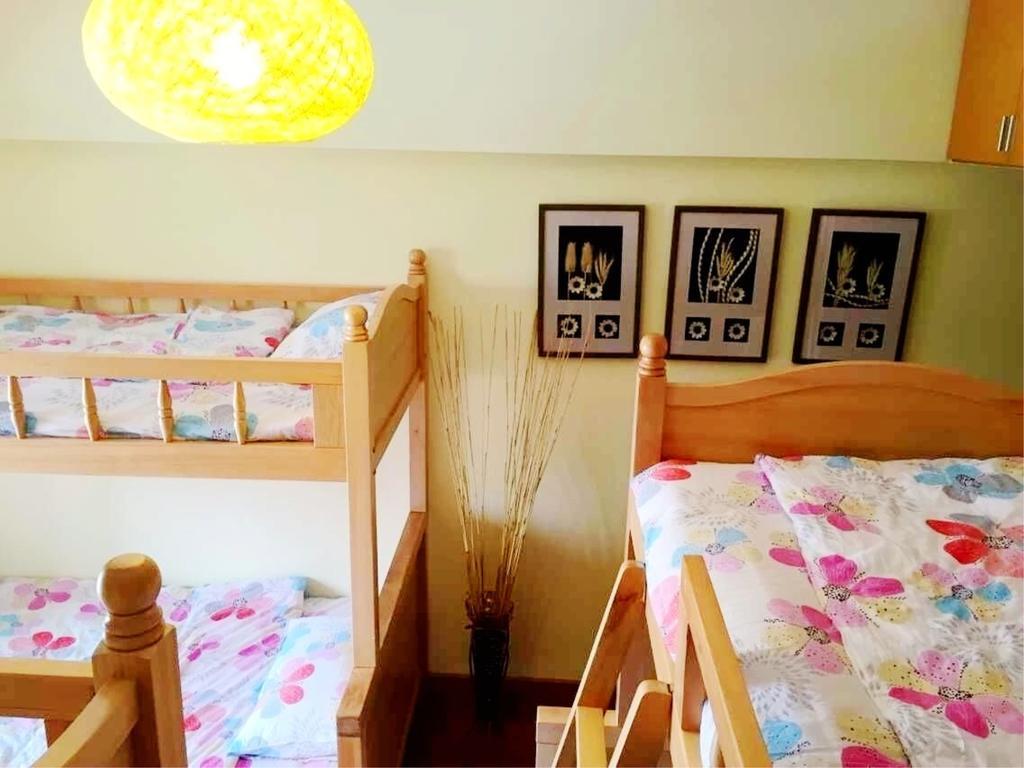 Kunming Cat Nest Female Youth Hostel Экстерьер фото